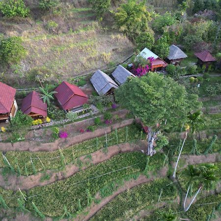 Rinjani Mountain Garden Hotel Bayan Ngoại thất bức ảnh