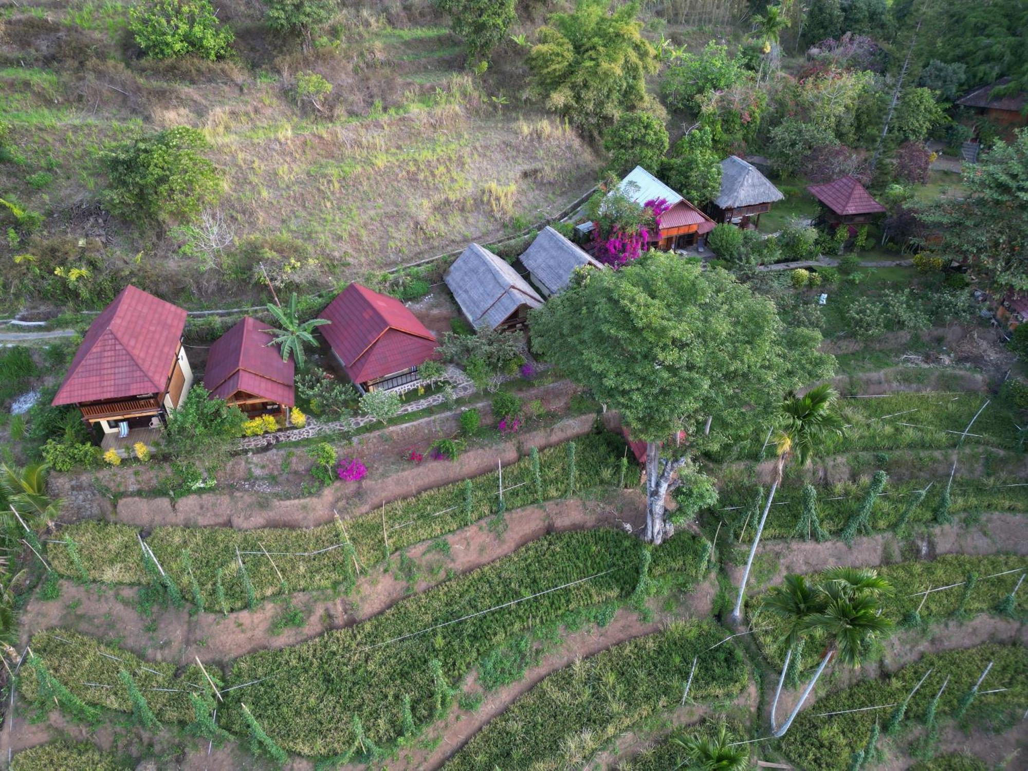 Rinjani Mountain Garden Hotel Bayan Ngoại thất bức ảnh